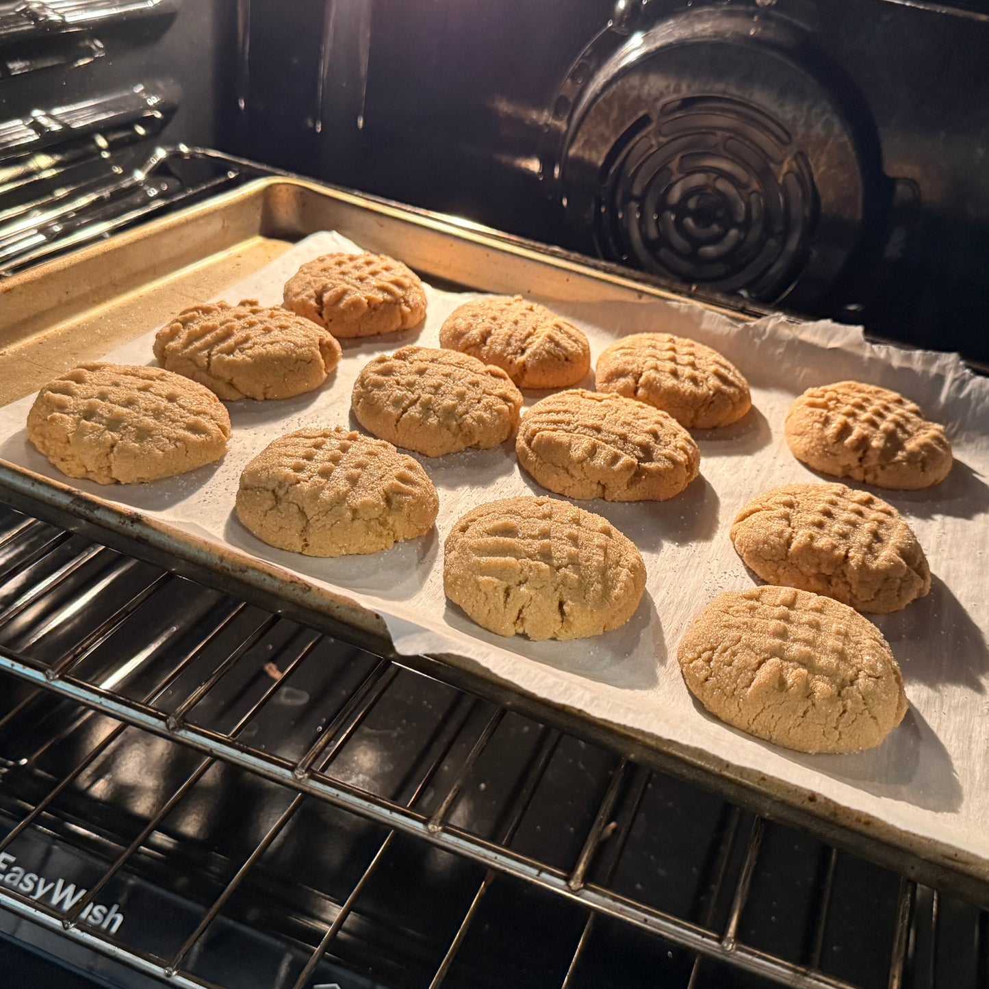 Sky's Peanut Butter Sourdough Cookies