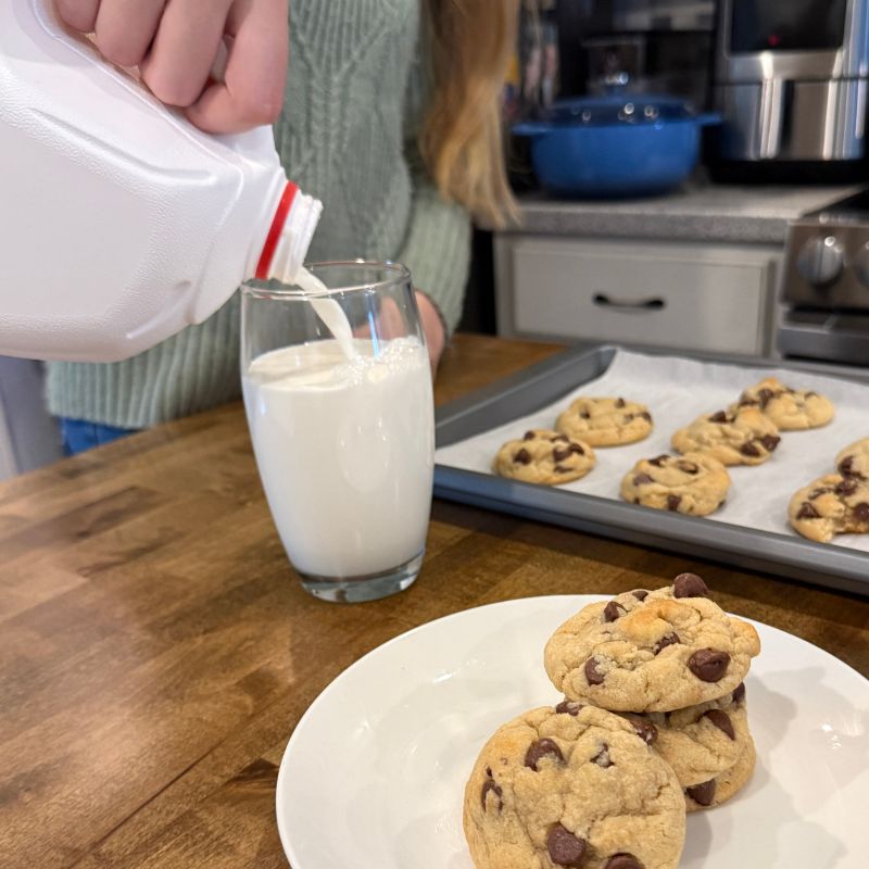 Sky's Chocolate Chip Sourdough Cookies